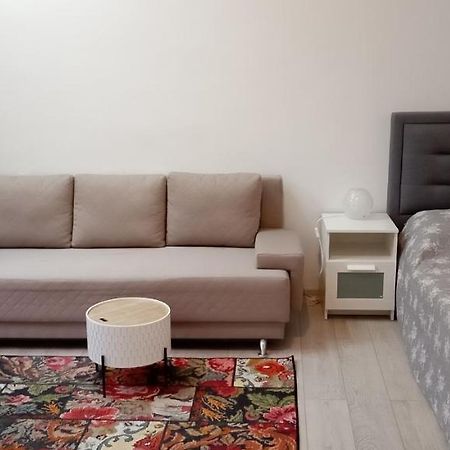 Piata Muzeului 1 Daire Kaloşvar Dış mekan fotoğraf